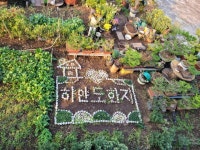 서귀포중문오션뷰 하얀도화지 펜션의가을 - .......... 텃밭나무꽃들 - 제주도여행 하얀도화지민박 서귀포중문오션뷰 하얀도화지 펜션의가을