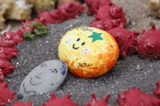 제주 하얀도화지의 매력 - .......... 텃밭나무꽃들 - 제주도여행 하얀도화지민박 제주 하얀도화지의 매력