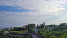 오션뷰숙소 하얀도화지민박(펜션) - .......... 010-3693-0411 - 제주도여행 하얀도화지민박 제주도서귀포 오션뷰숙소 하얀도화지민박(펜션)