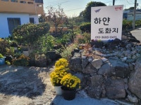 제주도 감성숙소 하얀도화지 민박 바다전망 - .......... 텃밭나무꽃들 - 제주도여행 하얀도화지민박 제주도 감성숙소 하얀도화지 민박 바다전망