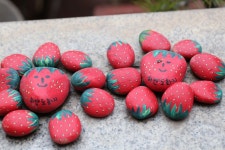 제주 하얀도화지의 매력 - .......... 텃밭나무꽃들 - 제주도여행 하얀도화지민박 제주 하얀도화지의 매력