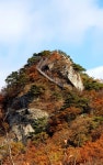 [산행변경] 10월4일/계룡산(845m)/충남 공주/정시출발 - ▣♣-- 화요산행 계획 - 느림보 산악회 느림보 산악회