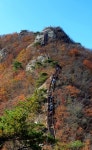 [산행변경] 10월4일/계룡산(845m)/충남 공주/정시출발 - ▣♣-- 화요산행 계획 - 느림보 산악회 느림보 산악회