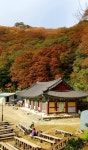 [산행변경] 10월4일/계룡산(845m)/충남 공주/정시출발 - ▣♣-- 화요산행 계획 - 느림보 산악회 느림보 산악회