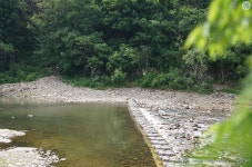 7월5일/월류봉(404m)-둘레길(8.4km)/충북 영동/정시출발 - ▣♣-- 화요산행 계획 - 느림보 산악회 느림보 산악회