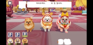 닌텐독스가 생각나는 강아지 키우기 게임, 마이프렌즈 독스 다같이 하자 !(안드, 아이폰 둘 다 가능) - 막생정 - 쭉빵카페 닌텐독스가 생각나는... 