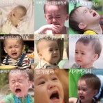 벤틀리가 우는 이유.jpg - 막이슈 - 쭉빵카페 벤틀리가 우는 이유.jpg