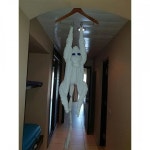 해외 호텔의 웰컴 서비스 - 악플달면 쩌리쩌려버려 - ＊여성시대＊ 차분한 20대들의 알흠다운 공간 해외 호텔의 웰컴 서비스