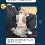 요즘 신입사원 근무 태도.jpg - 막이슈 - 쭉빵카페 요즘 신입사원 근무 태도.jpg