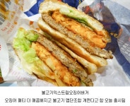 맛있다는 롯데리아 신메뉴 - 악플달면 쩌리쩌려버려 - ＊여성시대＊ 차분한 20대들의 알흠다운 공간 맛있다는 롯데리아 신메뉴