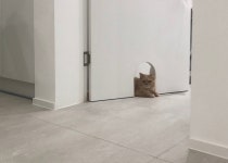딩펫족 (DINK+pet) 부부의 화이트 미니멀 하우스 인테리어 - 악플달면... 알흠다운 공간 딩펫족 (DINK+pet) 부부의 화이트 미니멀 하우스 인테리어