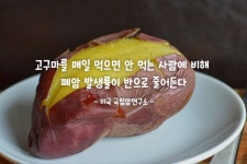 폐암을 가장 잘 예방한다는 한국인 겨울철 간식 1위 - 웃긴자료 ‥‥‥‥‥、 - 도탁스 (DOTAX) 폐암을 가장 잘 예방한다는 한국인 겨울철 간식... 