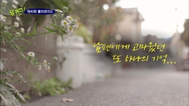 [유퀴즈] 40년 운영한 문방구를 접으려던 주인분이 마음을 바꾼 이유 - 악플달면 쩌리쩌려버려 - ＊여성시대＊ 차분한 20대들의 알흠다운 공간... 