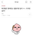 팍팍한 준방 속 또 은근 착하고 아방한 준바오 준웃 모음 - 악플달면... 알흠다운 공간 팍팍한 준방 속 또 은근 착하고 아방한 준바오 준웃 모음