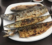 [고르기]밥상 앞 나의 천생연분 찾아보자 - 반찬편 - 　 - 　　막이슈 - 쭉빵카페 [고르기]밥상 앞 나의 천생연분 찾아보자 - 반찬편