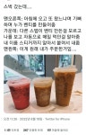 미국 스타벅스 대경사 - 막이슈 - 쭉빵카페 쭉빵카페