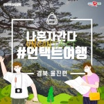 나혼자간다 언택트여행 jpg. - 막이슈 - 쭉빵카페 나혼자간다 언택트여행 jpg.