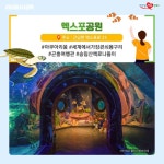 나혼자간다 언택트여행 jpg. - 막이슈 - 쭉빵카페 나혼자간다 언택트여행 jpg.