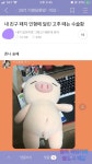 [익웃] 내 친구 돼지 인형에 달린 고추 떼는 수술함 - 막이슈 - 쭉빵카페 [익웃] 내 친구 돼지 인형에 달린 고추 떼는 수술함