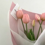 🌷 𝐼 𝐿𝑖𝑘𝑒 𝑇𝑢𝑙𝑖𝑝𝑠 🌷 - 14 장... 쭉빵카페 🌷 𝐼 𝐿𝑖𝑘𝑒 𝑇𝑢𝑙𝑖𝑝𝑠 🌷 - 14 장