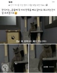 만식이는 앉을때 꼭 다리 한쪽을 빼고 앉아요.jpg - 막이슈 - 쭉빵카페 만식이는 앉을때 꼭 다리 한쪽을 빼고 앉아요.jpg