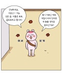 우리집에 곰토토가 온다면 살게해주겠다 vs 다른집알아보라고한다 - 악플달면 쩌리쩌려버려 - ＊여성시대＊ 차분한 20대들의 알흠다운 공간... 