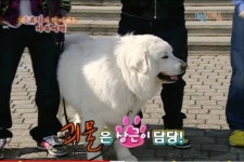 [1박2일]고양이한테 생선을 맡긴 제작진 - 막이슈 - 쭉빵카페 [1박2일]고양이한테 생선을 맡긴 제작진