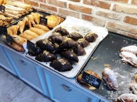 속초 봉브레드 jpg. - 웃긴자료 ‥‥‥‥‥、 - 도탁스 (DOTAX) 속초 봉브레드 jpg.