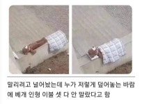 조금 모자라지만 착한 친구 - 막이슈 - 쭉빵카페 조금 모자라지만 착한 친구