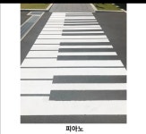 횡단보도 어디까지 하는 거에요? - 막이슈 - 쭉빵카페 횡단보도 어디까지 하는 거에요?