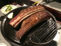 서울 용산구 몽탄 - 웃긴자료 ‥‥‥‥‥、 - 도탁스 (DOTAX) 서울 용산구 몽탄