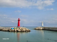 🪷 청사포 장어방생후기 - 운명 바꾸는 사람들 - 적멸보궁 안심정사 🪷 청사포 장어방생후기