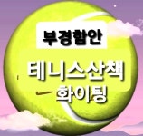 함안의 3월을 알림니다. - ─‥정모,번팅 알림 - 테니스 산책 함안의 3월을 알림니다.