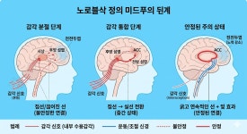 12일 차 - 26년 명상 수련 일기 - 마음챙김 & 소마틱스 요가 12일 차