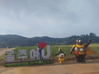 Foto hasil pencarian Naver 3
