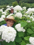 동행 69. (당진 장고항 –왜목마을 –삼선산수목원 –아미미술관 –솔뫼성지 -필경사) - ★···─ 수필방 - ‡ 월출산여우네 ‡ 동행 69. (당진... 