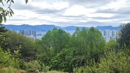 우리동네 명산 구룡산(화청봉) 자랑 - ◇ 사람사는 이야기 - 내 삶의 신호등 우리동네 명산 구룡산(화청봉) 자랑