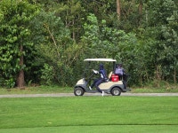우리네.. 老人들은 꾸준히 움직여야합니다..요 - 자유 게시판(2) - ♡ 황혼의 낙원 ♡ 우리네.. 老人들은 꾸준히 움직여야합니다..요