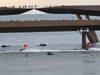 우리네.. 老人들은 꾸준히 움직여야합니다..요 - 자유 게시판(2) - ♡ 황혼의 낙원 ♡ 우리네.. 老人들은 꾸준히 움직여야합니다..요
