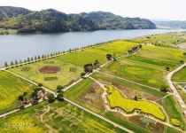 [자박자박 소읍탐방] ＜153＞ 창녕 남지읍 개비리길과 낙동강 유채꽃밭 - 꽃과 나무 탐사 - 서울대학교 우리문화탐사회 서울대학교 우리문화탐사회