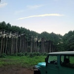 쉼을 전해주는 제주 풀멍 코스 5 - 제주도여행정보♥ - 온누리 여행등산클럽™[산악회.국내여행.섬여행.둘레길여행] 쉼을 전해주는 제주 풀멍 코스 5