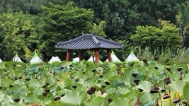 울산 대왕암공원 자수정동굴 및 함양 상림화원-2025.9.7 - 명품둘레길동호회 - 유응호 울산 대왕암공원 자수정동굴 및 함양 상림화원-2025.9.7