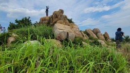 울산 대왕암공원 자수정동굴 및 함양 상림화원-2025.9.7 - 명품둘레길동호회 - 유응호 울산 대왕암공원 자수정동굴 및 함양 상림화원-2025.9.7