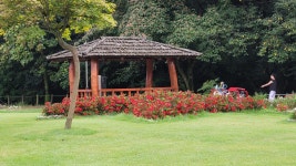 울산 대왕암공원 자수정동굴 및 함양 상림화원-2025.9.7 - 명품둘레길동호회 - 유응호 울산 대왕암공원 자수정동굴 및 함양 상림화원-2025.9.7