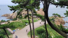 울산 대왕암공원 자수정동굴 및 함양 상림화원-2025.9.7 - 명품둘레길동호회 - 유응호 울산 대왕암공원 자수정동굴 및 함양 상림화원-2025.9.7