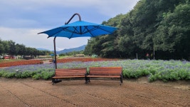 울산 대왕암공원 자수정동굴 및 함양 상림화원-2025.9.7 - 명품둘레길동호회 - 유응호 울산 대왕암공원 자수정동굴 및 함양 상림화원-2025.9.7