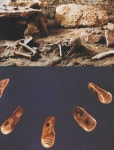 서양미술(8) - 예술의 기원을 찾아가 보면--- - 2-4 수필강좌(일반) - 수필아카데미(대구수필문예대학) 서양미술(8) - 예술의 기원을 찾아가 보면---