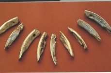 서양미술(8) - 예술의 기원을 찾아가 보면--- - 2-4 수필강좌(일반) - 수필아카데미(대구수필문예대학) 서양미술(8) - 예술의 기원을 찾아가 보면---