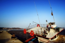 51사단 사고를 보고.. - ☆주절주절☆ - 51사단 167연대 1대대 1중대 51사단 사고를 보고..