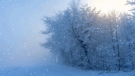 ♡*...12月의 길목에서 傳하고 싶은 마음🌨 - ☏아띠할멈자료실 - 노년의 건강 파크골프 ♡*...12月의 길목에서 傳하고 싶은 마음🌨
